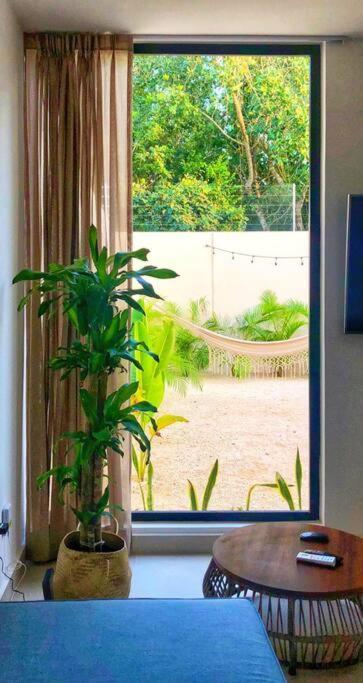 Casa Camilla, Bright, Spacious And Comfortable Villa Playa del Carmen Exteriör bild
